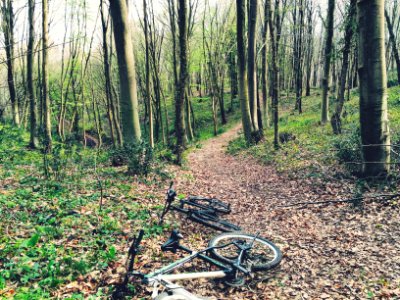 Belgrad forest, Baheky merkez mahallesi, Turkey photo