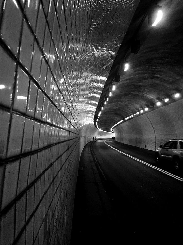 Washington, Woodley park, United states