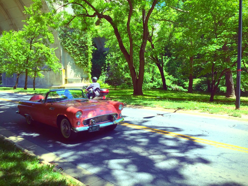 Washington, Woodley park, United states