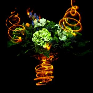 Flowers party bouquet