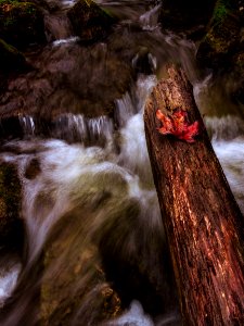 Ontario, Canada, Stream