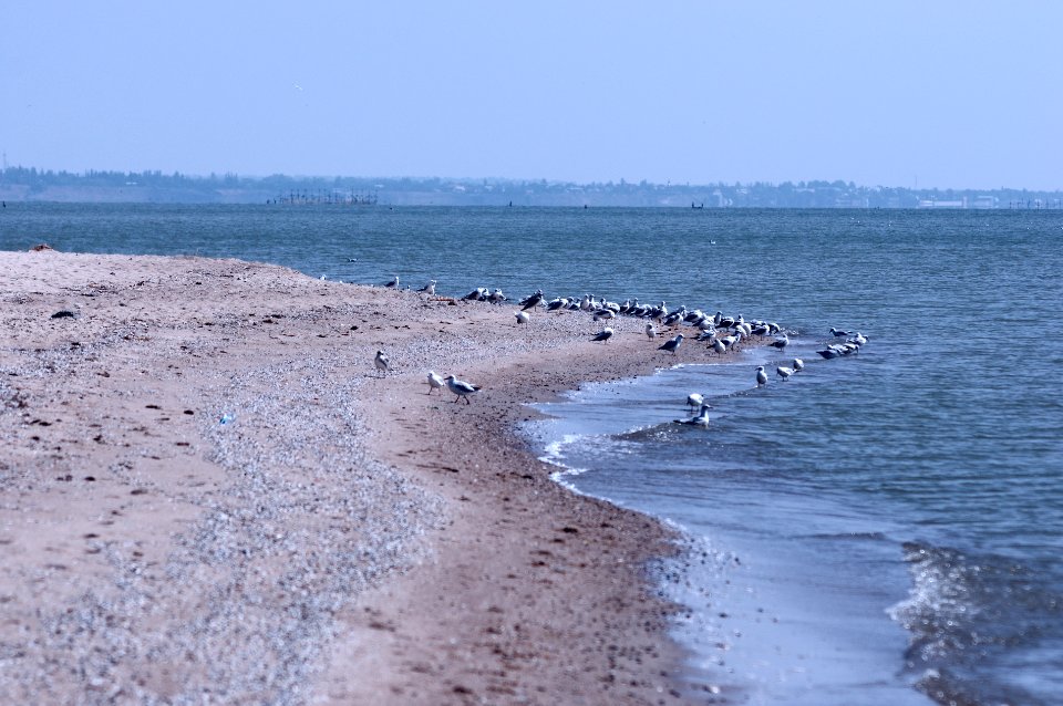 Shyrokyne, Ukraine, Shore