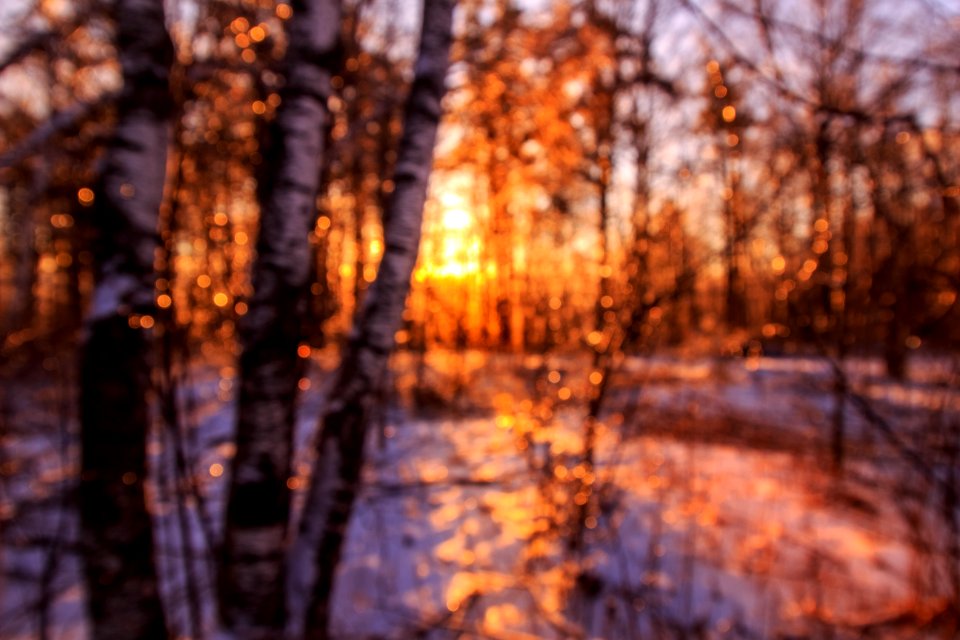 Canada, Amazing, Red