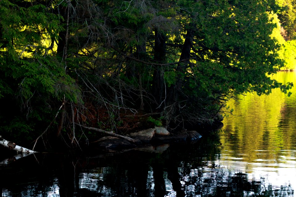 Parry sound, Canada, Water