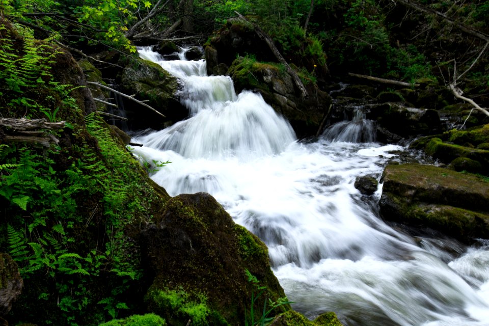 Ontario, Canada, Lush