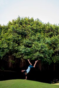 Play, Freestyle, Tree photo