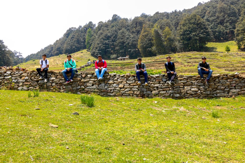 Trekking, Hiking, Forest