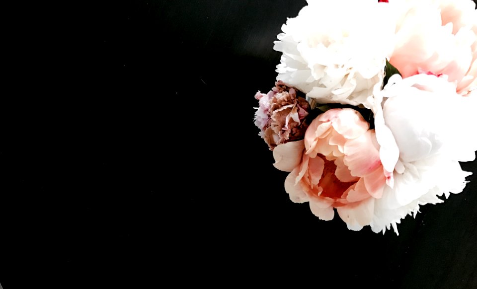 Black, White, Pink