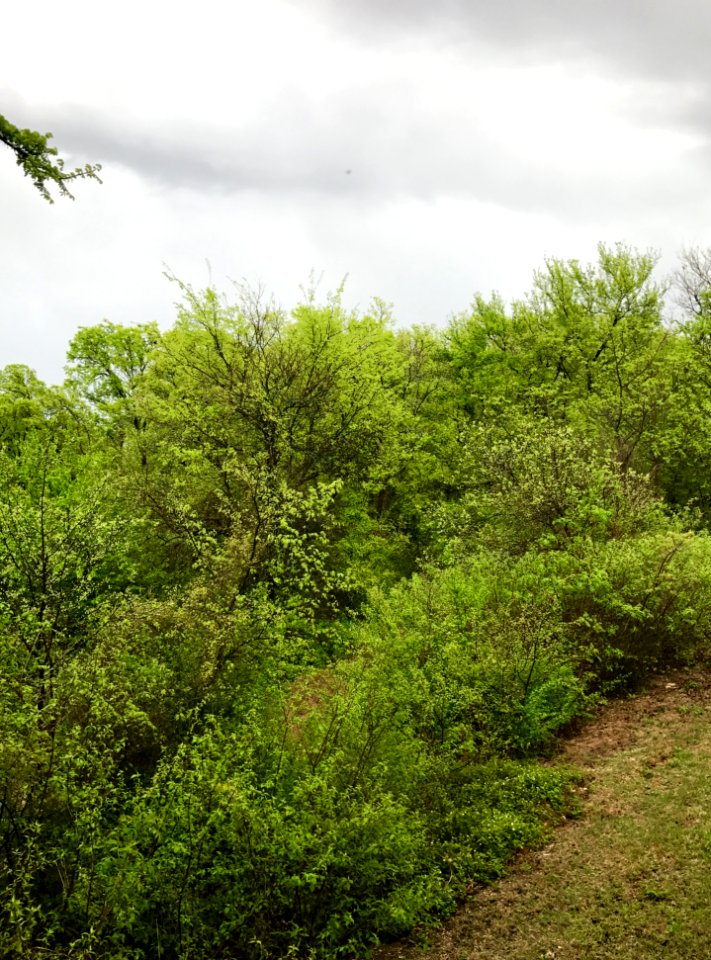 Frisco, United states, Nature