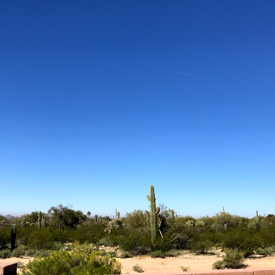 Marana, United states, Sky