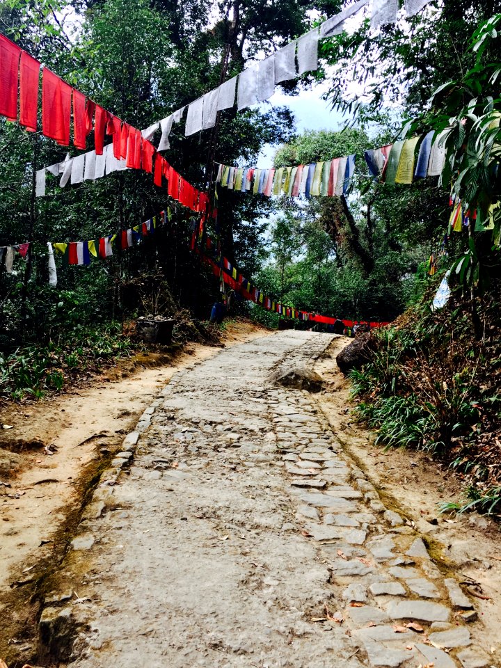 Khecheopalri lake, India, Forest ways