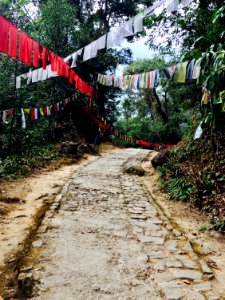 Khecheopalri lake, India, Forest ways