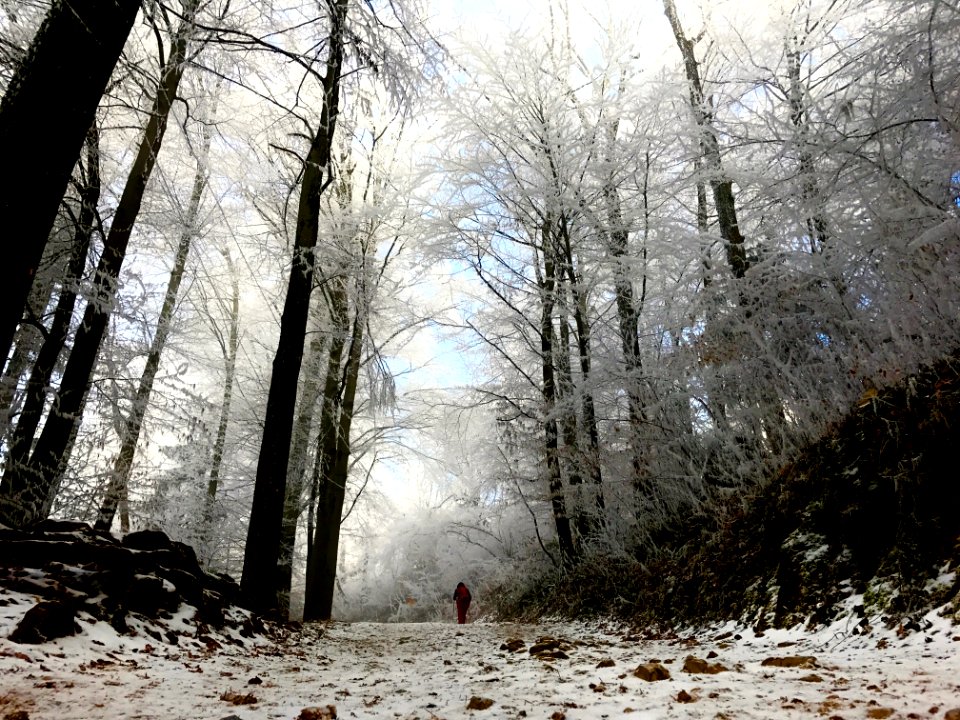 Marna gora, Ljubljana, Slovenia