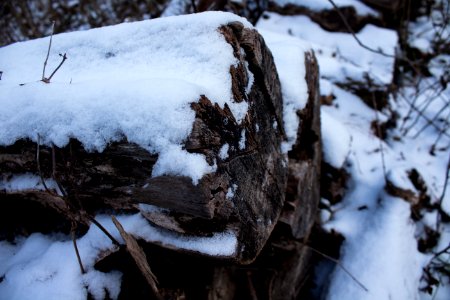 Nashville, United states, Winter