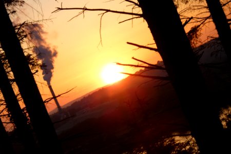 Pollution, Ireland, Forest