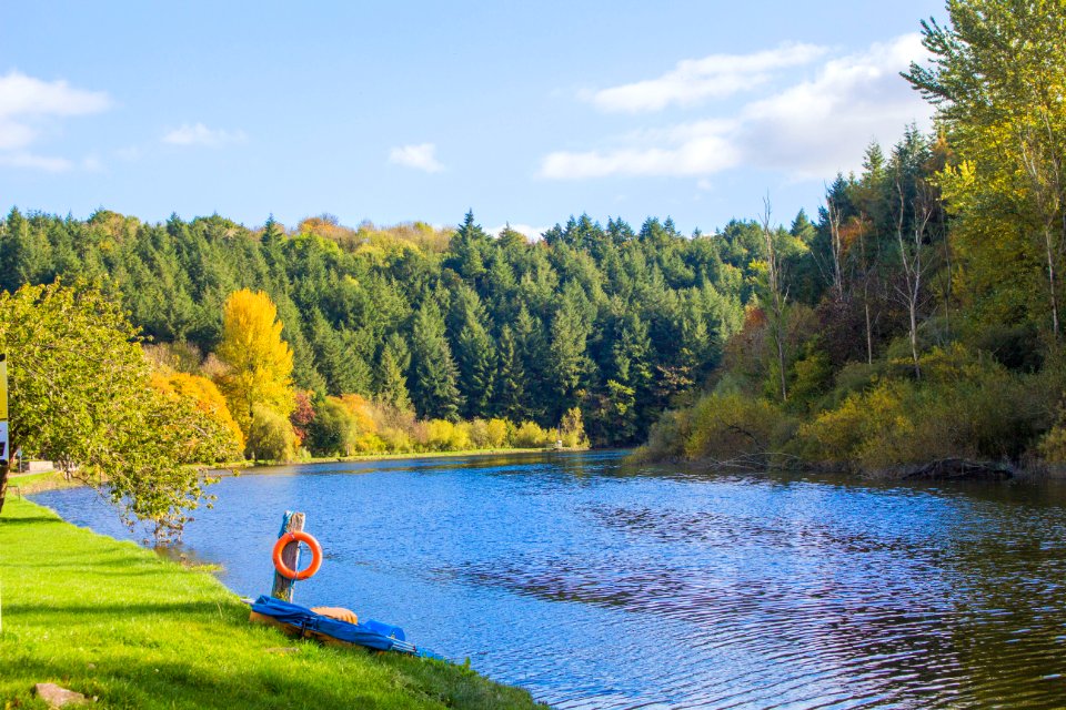 Irel, Trees, River photo