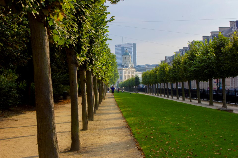 Brussels, Belgium, Jog