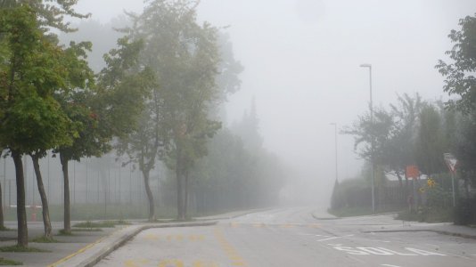 Grosuplje, Slovenia, Morning photo