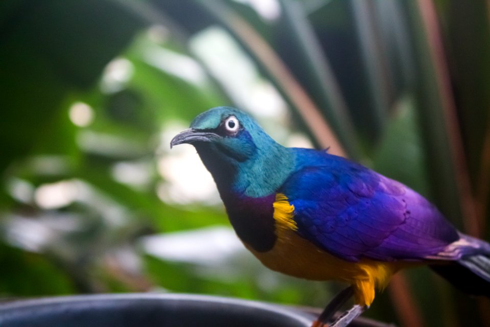 Portl, United states, Colorful