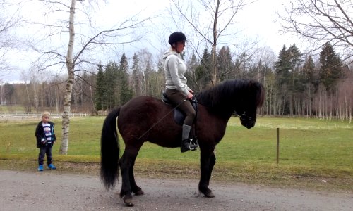 Fagerbjrka, Kumla, Horse riding
