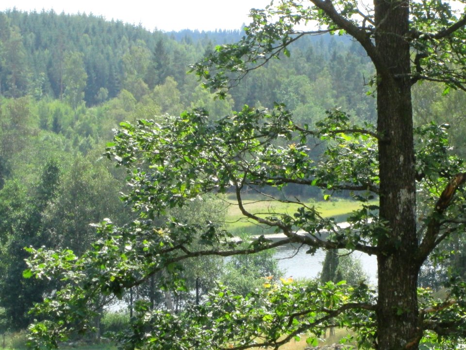 Hall, County, Sweden