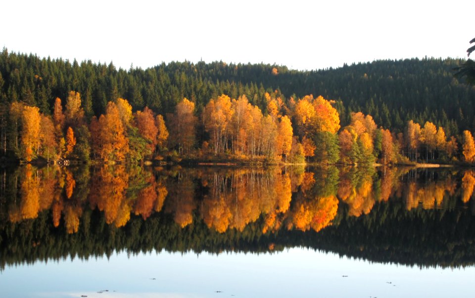 Hall, County, Sweden