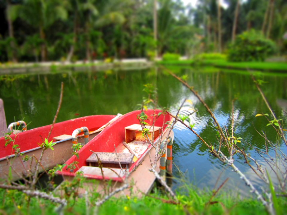 Alfonso, Philippines, Nature