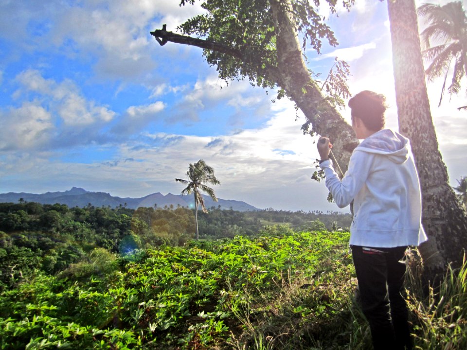 Alfonso, Philippines, Tree