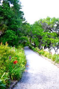 Charleston, United states, Journey