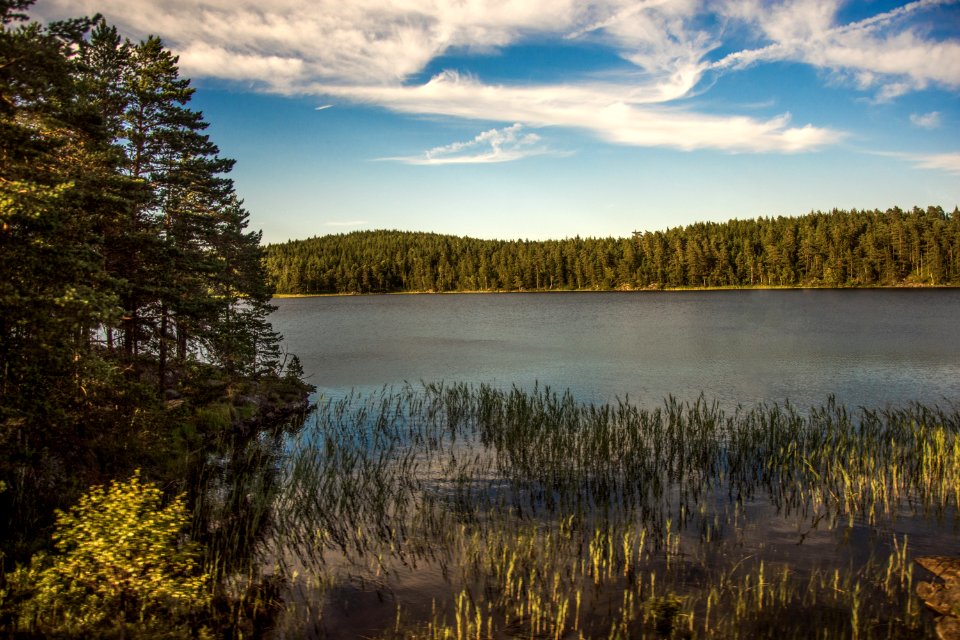 Sweden, Nature, Freedom