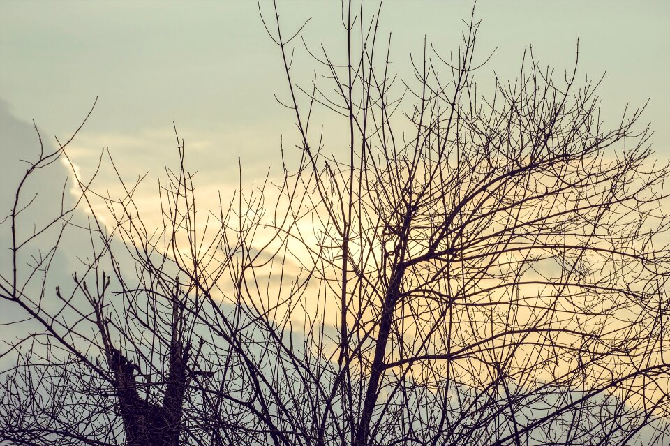 Beautiful sky golden light