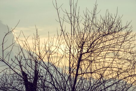 Beautiful sky golden light