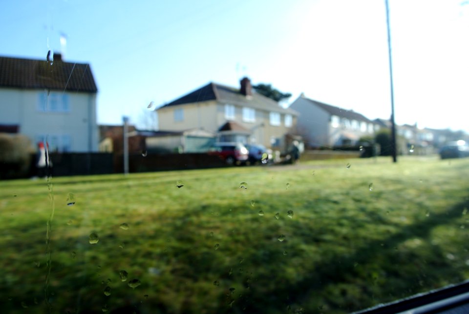 Farnborough, United kingdom, Grass