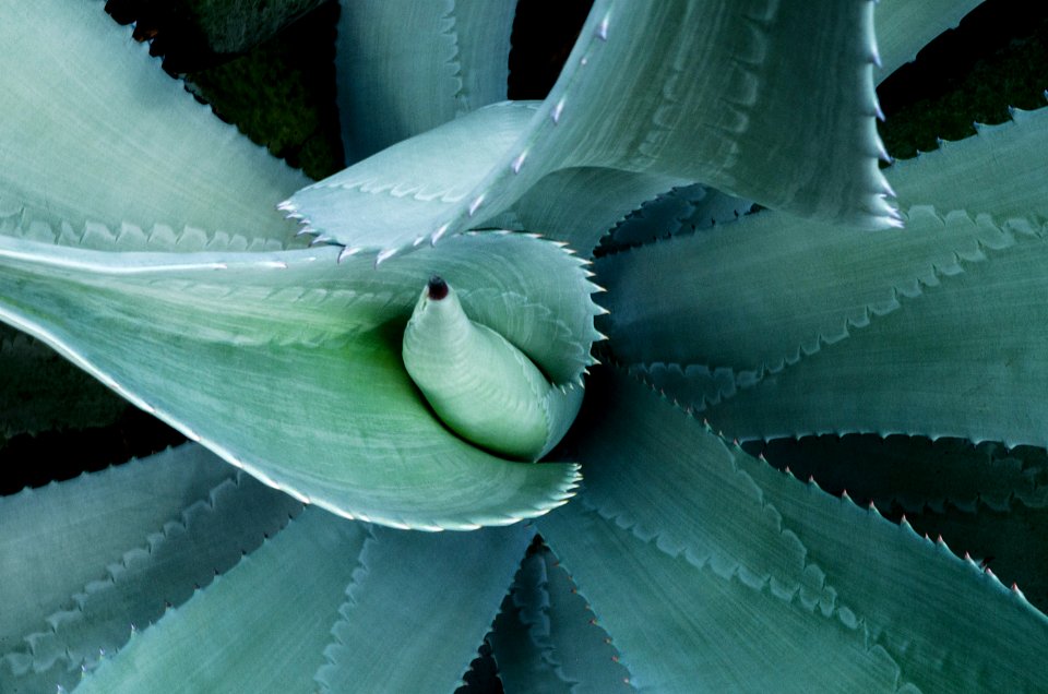 Acatln, Apatzingn, Mexico
