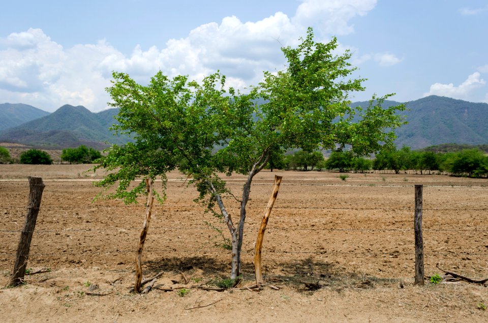 Acatln, Apatzingn, Mexico