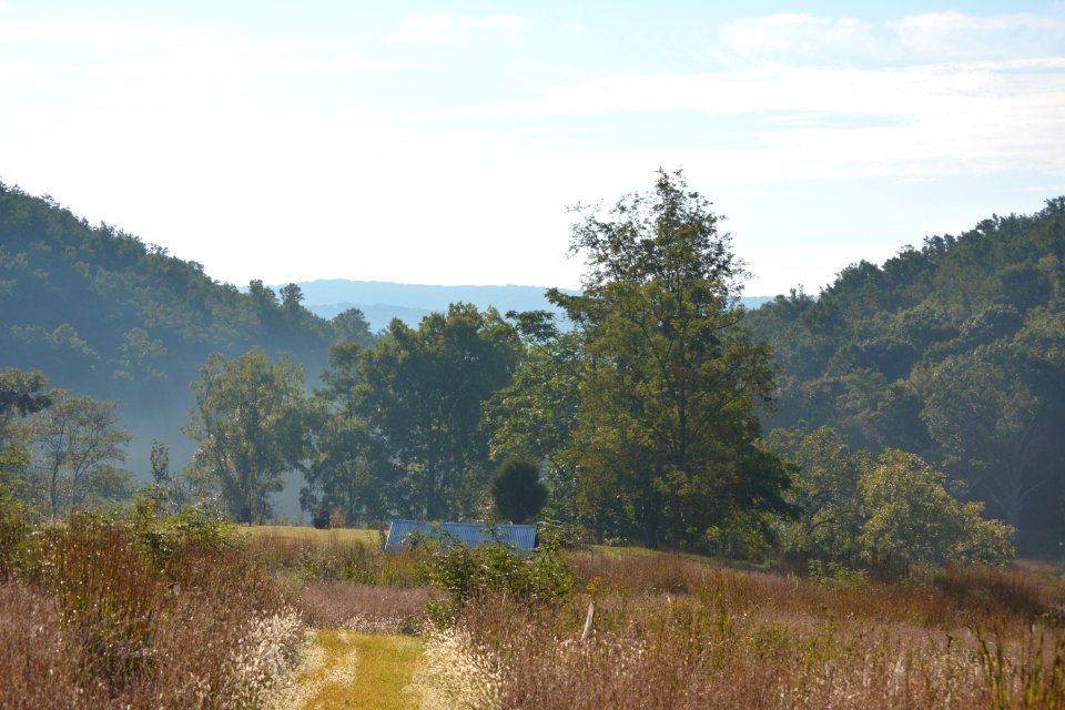 Capon bridge, United states, Calm
