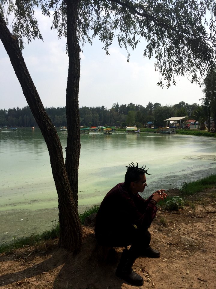 Urban tribles, Urban lake, Trees