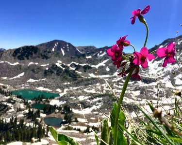 Pfeifferhorn, United states, Wasatch