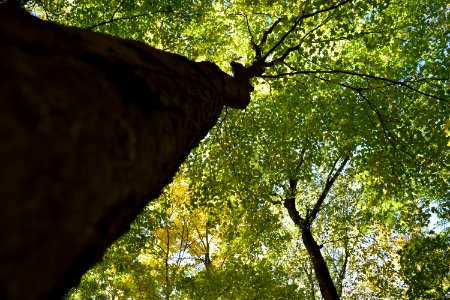Jungle habitat, West milford, United states
