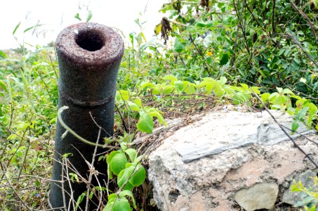 Old ningo, Ghana