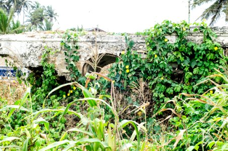 Old ningo, Ghana