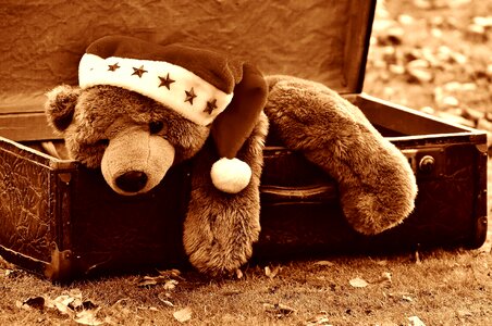Teddy soft toy stuffed animal