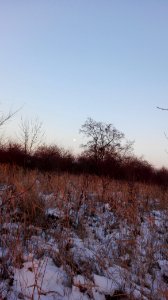 Raciborz, Poland, Sunset