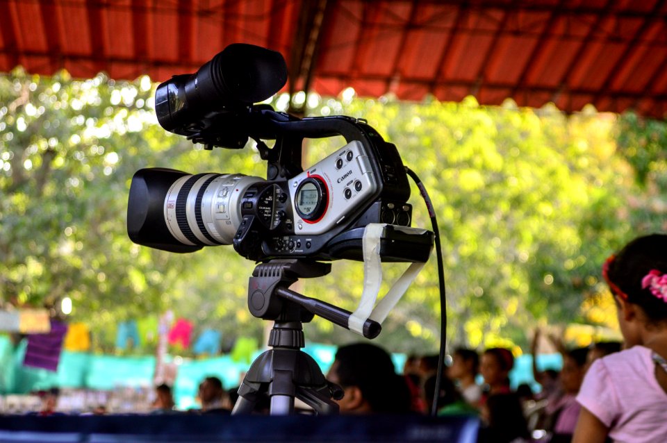 Trees, Cameras, Bokeh