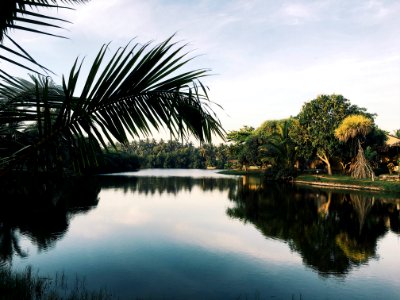 Sri lanka, Lagoon, Lake
