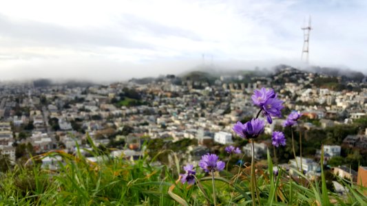 San francisco, The castro, California