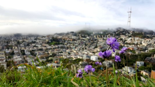 San francisco, The castro, California photo