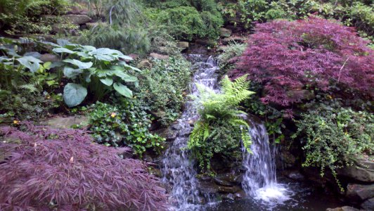 Clevel,  botanical garden, United states