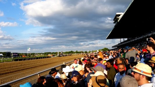 American pharoah, Triple crown, Belmont stakes