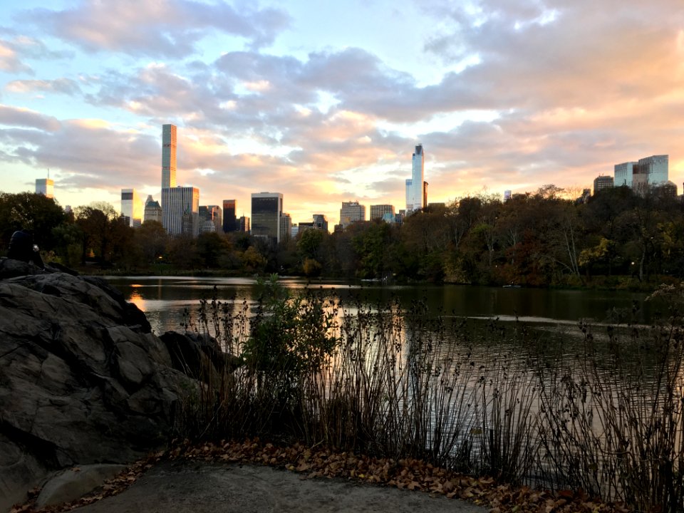Sunset, Skyline, Central park